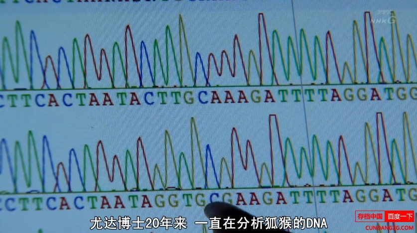 NHK¼Ƭ԰ȫ6 720P Ļ ٶ NHK¼Ƭ