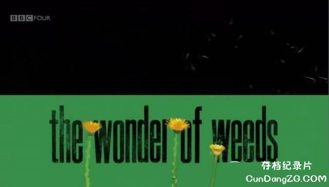 BBC¼ƬӲ/Ұ The Wonder of Weeds BBC¼Ƭ