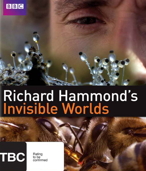 BBC¼Ƭ  Invisible Worlds 20101080P ȫ3 Ļ ѧ̽