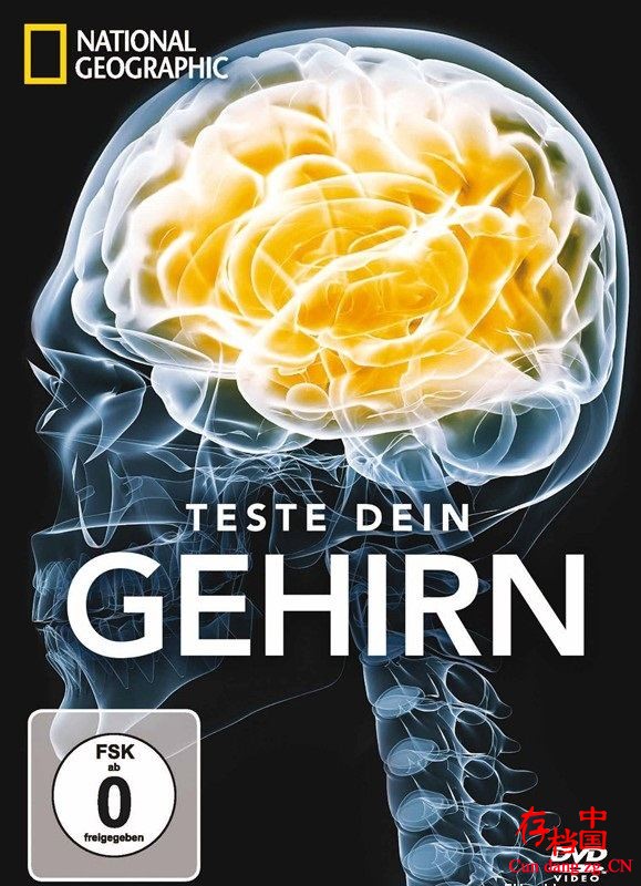 ҵ¼Ƭսһ Test Your Brain 2012720P Ļ ȫ3  ѧ̽