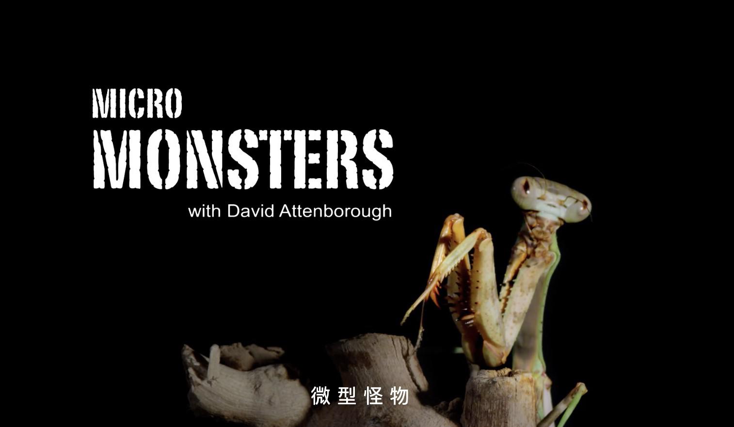 BBC¼Ƭ΢֮ Micro Monsters 2013ȫ7  1080P 