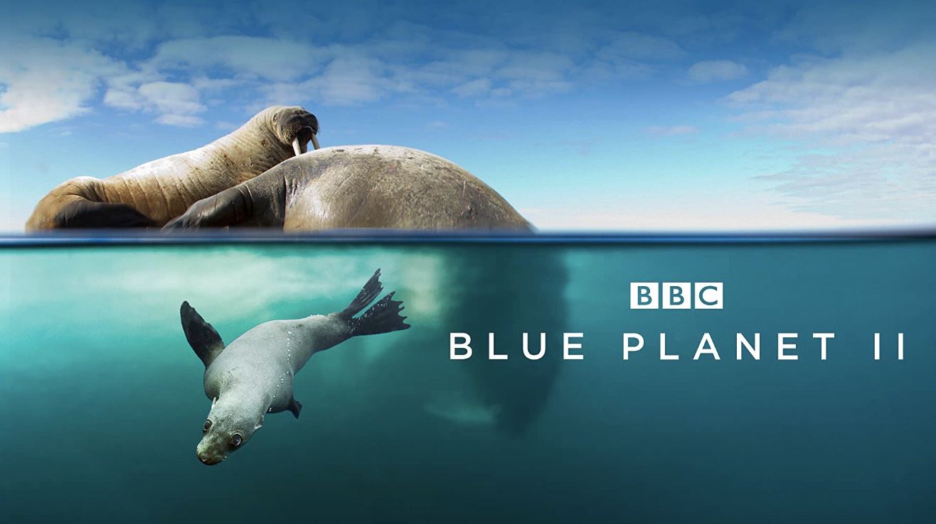 BBC¼Ƭɫ2 Blue Planet IIڶ Ļ 4k/1080P BBC¼Ƭ