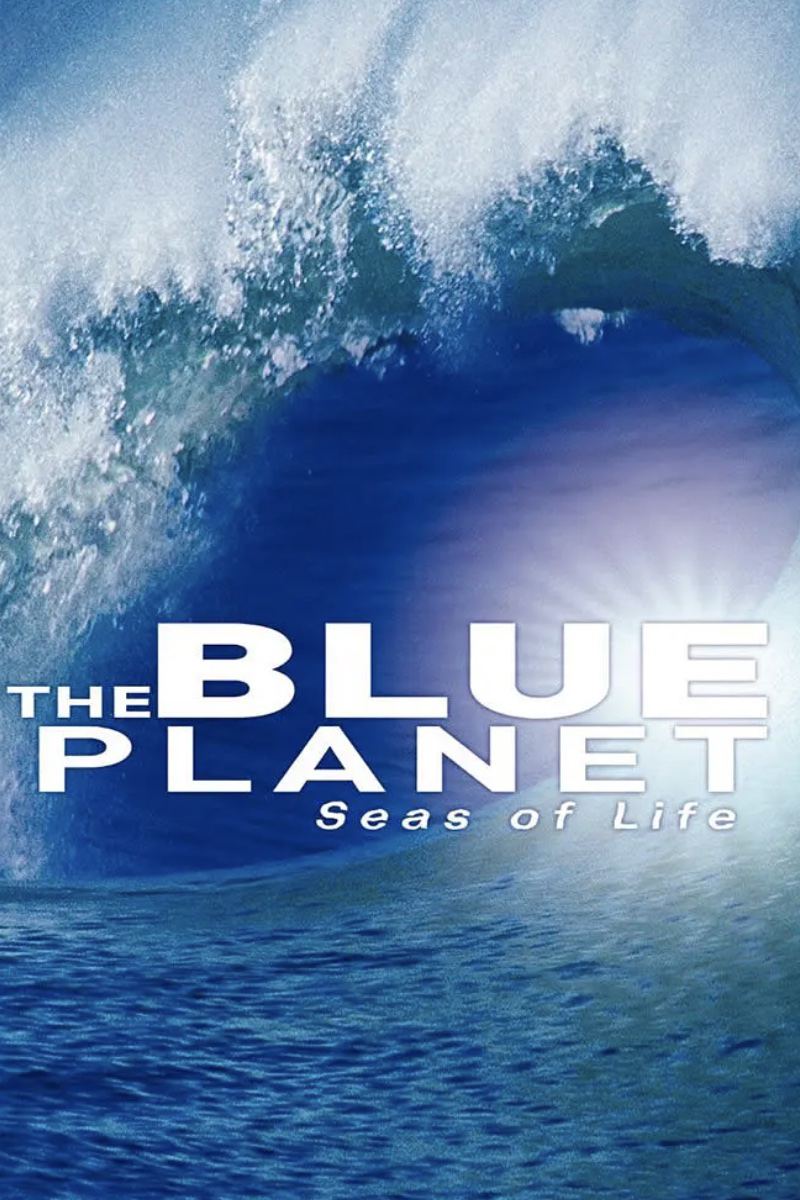 BBC¼ƬɫThe Blue Planet 2001һ ȫ10 Ļ 1080P 