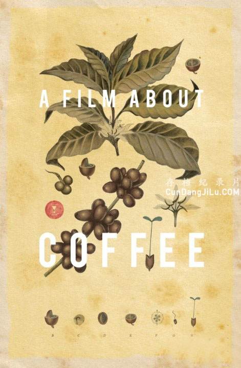 ȼ¼ƬһڿȵĵӰA.Film.About.Coffeeȫ1 1080P Ļ Ӱ¼Ƭ