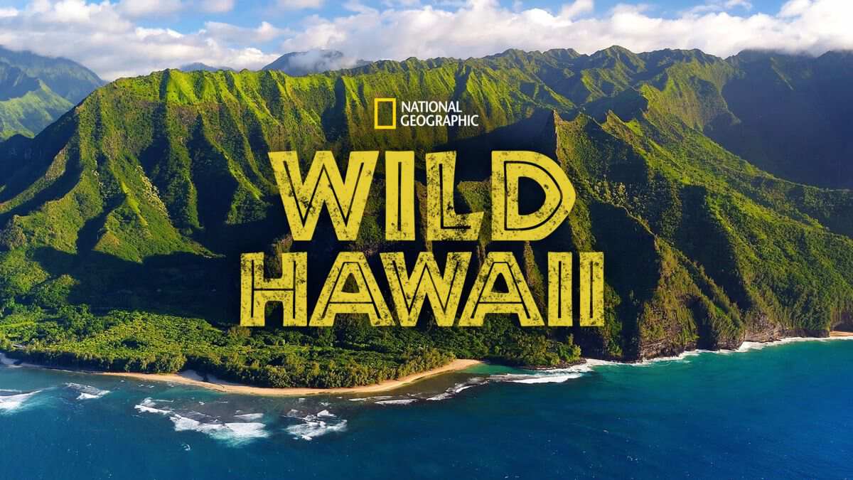 Ұ Wild Hawaiiȫ1 Ļ 1080P¼Ƭ 