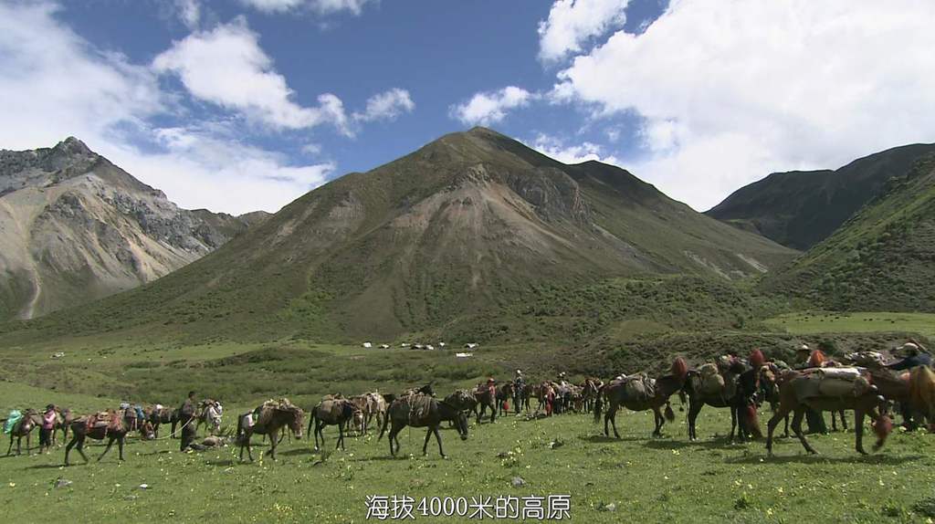 NHK/KBS¼Ƭŵ Asian Corridor in Heavenȫ6  1080P/720P ʷ