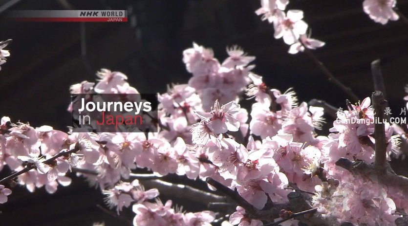 NHKм¼Ƭձ֮ Journeys in Japan 2018ȫ10 Ӣ 720P¼Ƭ Ȼ