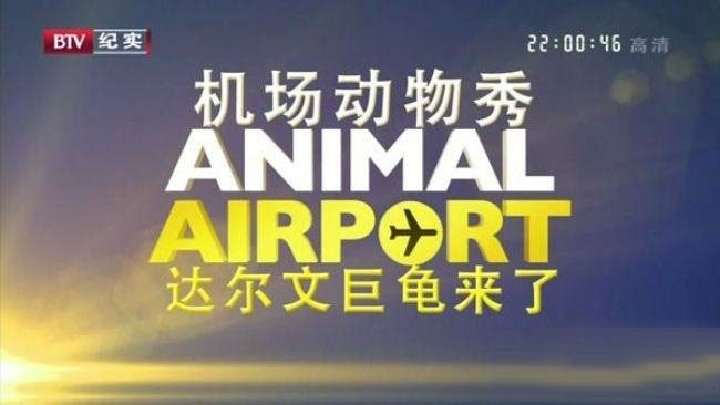 BTV¼Ƭ Animal Airportȫ12 Ƕ 720P¼Ƭ 