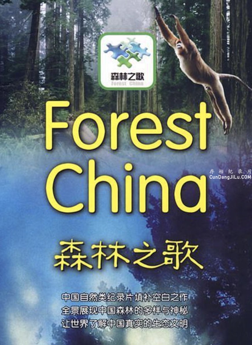 ̬¼Ƭɭ֮ Forest Chinaȫ11   Ȼ