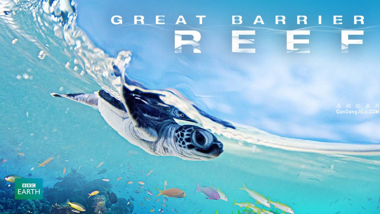 BBC¼Ƭ󱤽 Great Barrier Reef 2012ȫ3  720P/1080P 