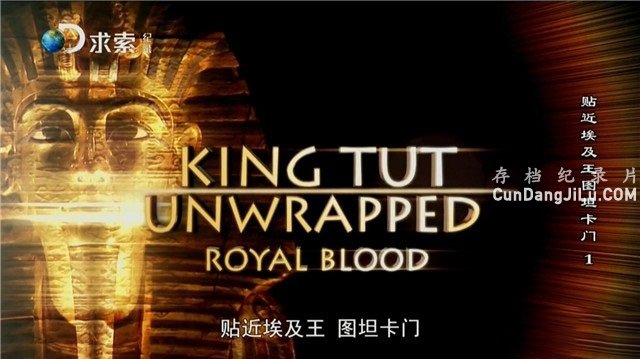 ̽Ƶ¼Ƭͼ̹ King Tut Unwrapped 2010ȫ4 Ļ 720P ѧ̽