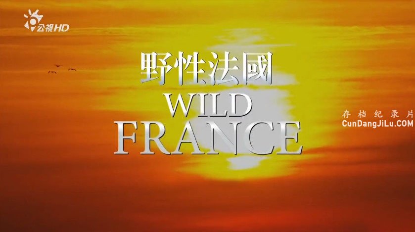 Ƽ¼ƬҰԷ Wild Franceȫ2 Ӣ˫ 1080I/720P 