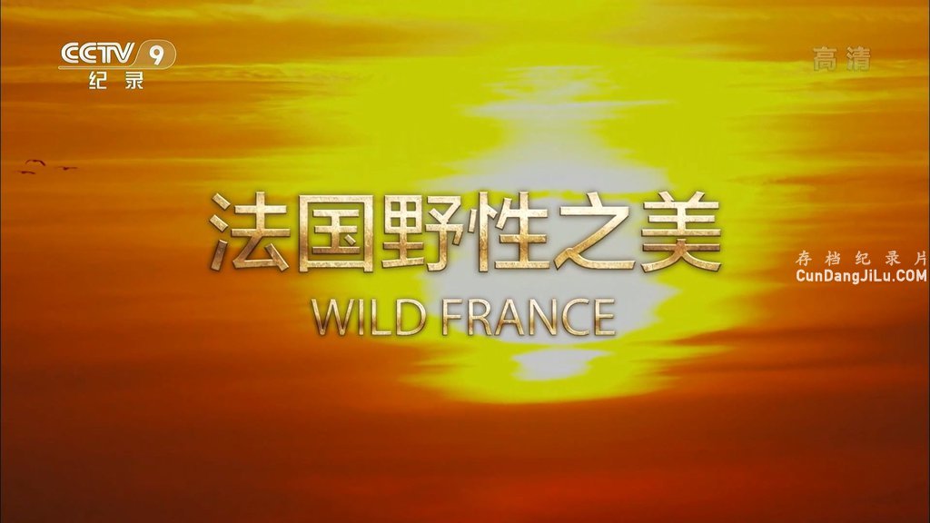 Ƽ¼ƬҰԷ֮ Wild France 2019ȫ2  1080P 