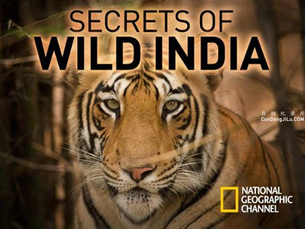 ҵȻ̬¼ƬҰӡȵ Secrets of Wild India 2012ȫ3  1080P/720P 