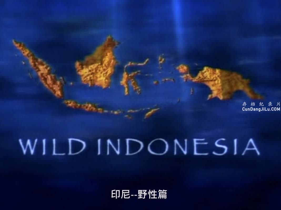 BBC¼ƬҰӡ Wild Indonesia 1999ȫ3   