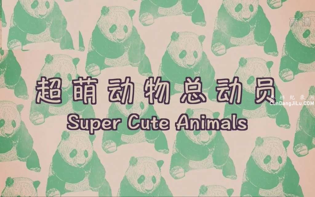 BBC¼ƬȶSuper Cute Animals 2015ȫ1  720P/1080P¼Ƭ 