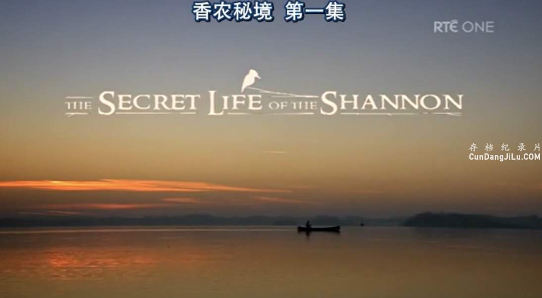 ¼Ƭũؾ The Secret Life of the Shannon 2013ȫ2 Ļ  