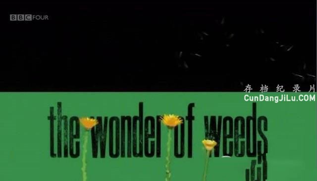 BBC¼ƬӲ/Ұ The Wonder of Weedsȫ1  Ȼ