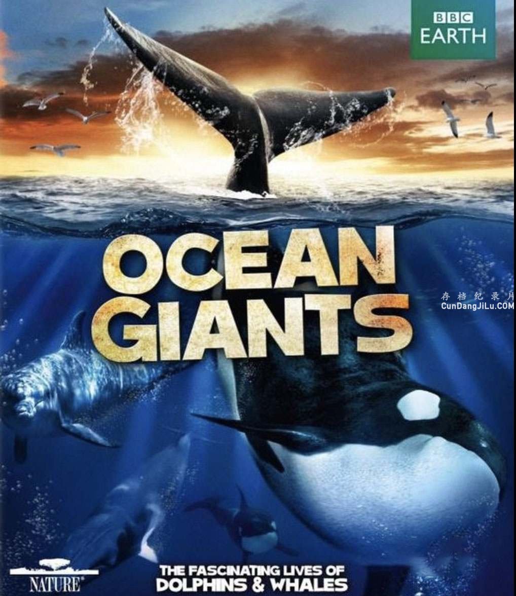 BBC¼Ƭ/ Ocean giantsȫ3 ڷ 720P 