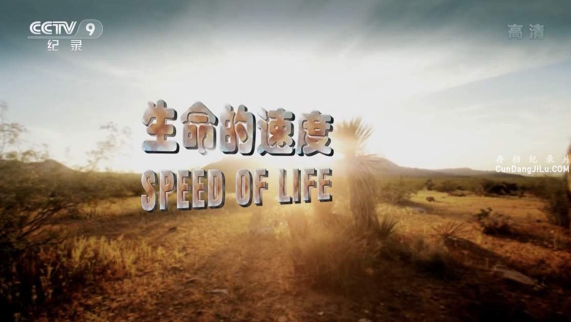 DiscoveryӰ桶ٶ Speed Of Lifeȫ3 Ӣ 1080I¼Ƭ ѧ̽