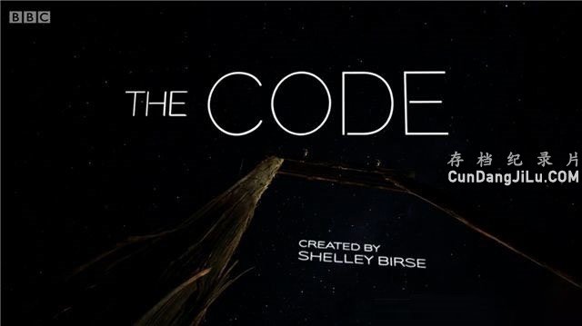 BBCѧռ¼Ƭռ/ѧ The Codeȫ3 Ļ 1080P¼Ƭ ѧ̽