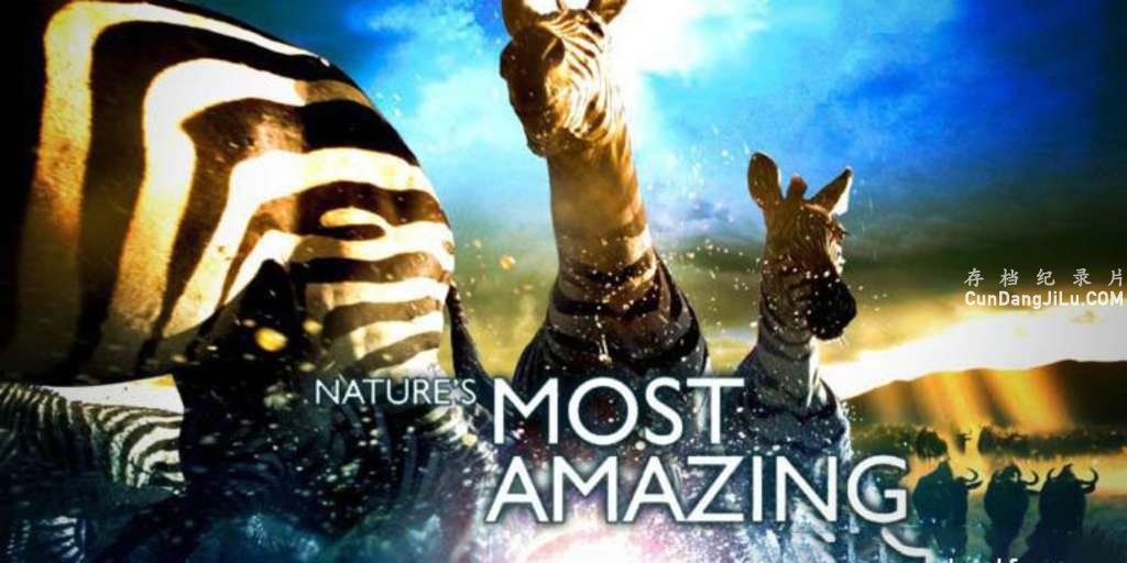 BBC¼ƬȻ¼ Nature's Great Events 2009ȫ6 Ӣ 1080P/720P 