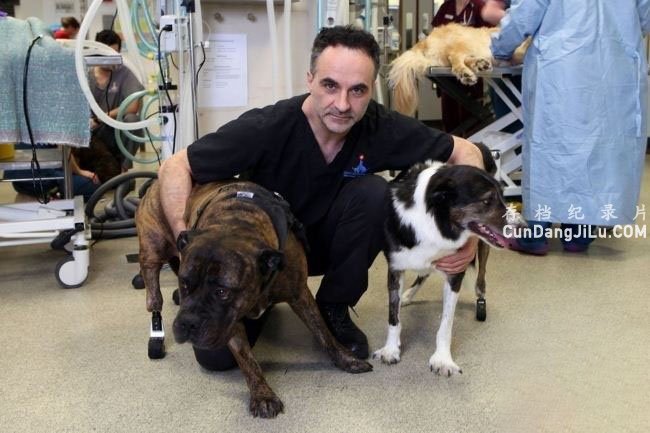 BBC¼Ƭҽ The Supervet һ ȫ3 Ļ 1080P 