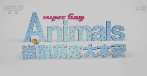 ȳ¼Ƭ΢ȳӪ Super Tiny Animalsȫ3 Ļ 720P 