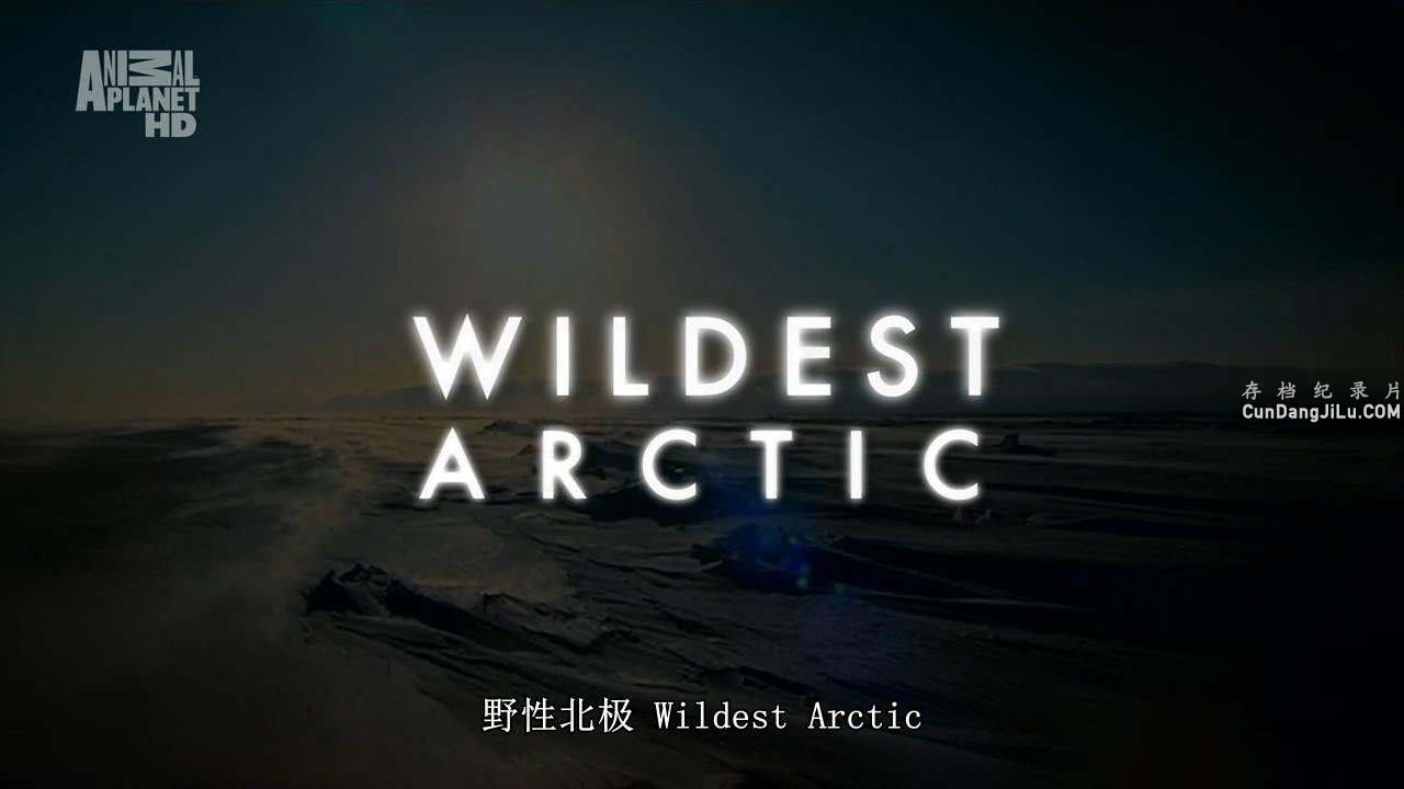 ҰԱ Wildest Arcticȫ4 Ӣ˫ 720P¼Ƭ 