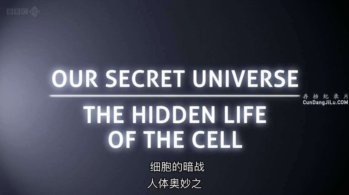 BBC¼Ƭ֮ϸİս Our Secret Universe: The Hidden Life of the Cell 2012ȫ1 Ӣ˫ 720P ѧ̽