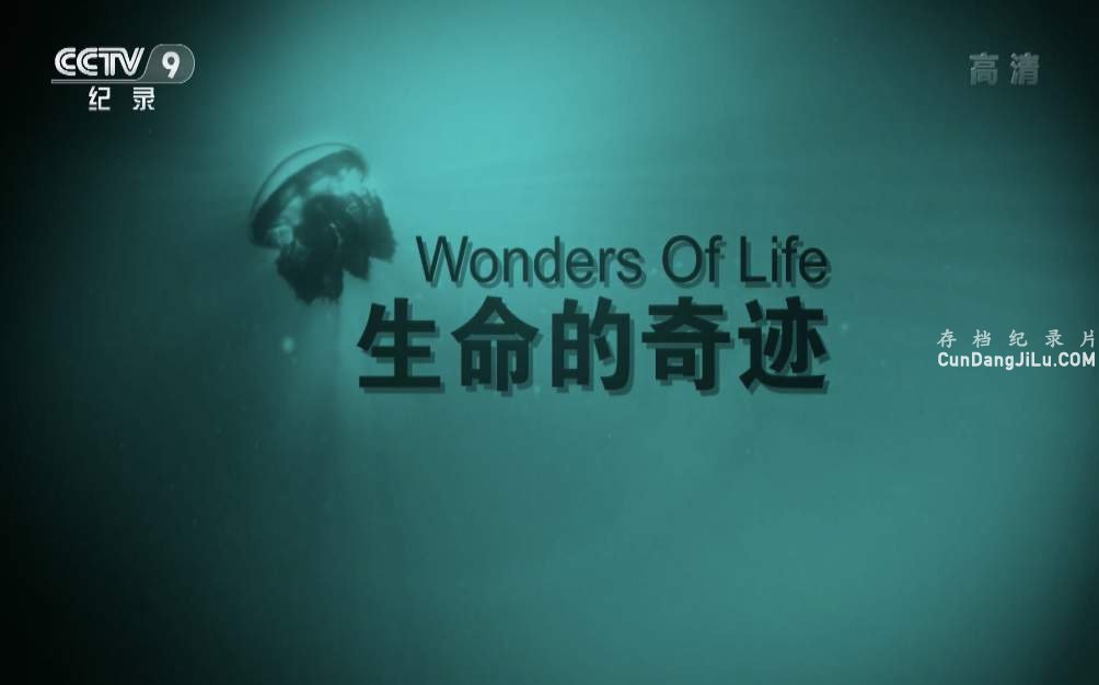 Ӽ¼Ƭ漣 Wonders of Life 2017ȫ4  1080P ѧ̽