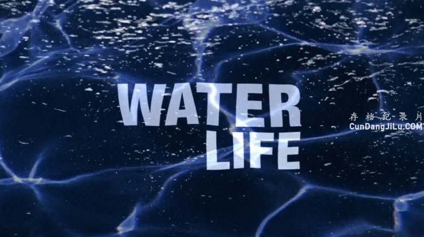 BBC¼Ƭ֮ˮ Water lifeȫ26 Ӣ˫ 720P 