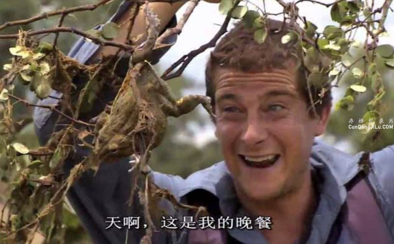 Ұ¼Ƭѵ Bear Grylls:Breaking Pointȫ6ԭ 720P/1080i¼Ƭ Ȼ