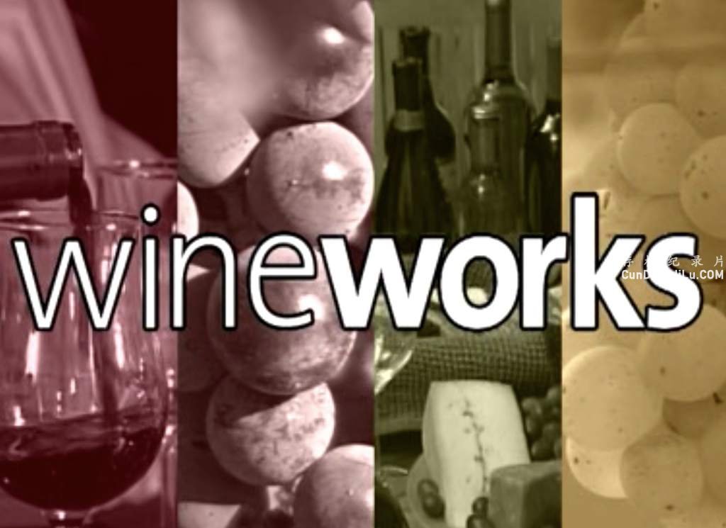 ѾƼ¼ƬѾָ Wineworks -Your Complete Video Guide To Wineȫ1 Ļ  ʷ