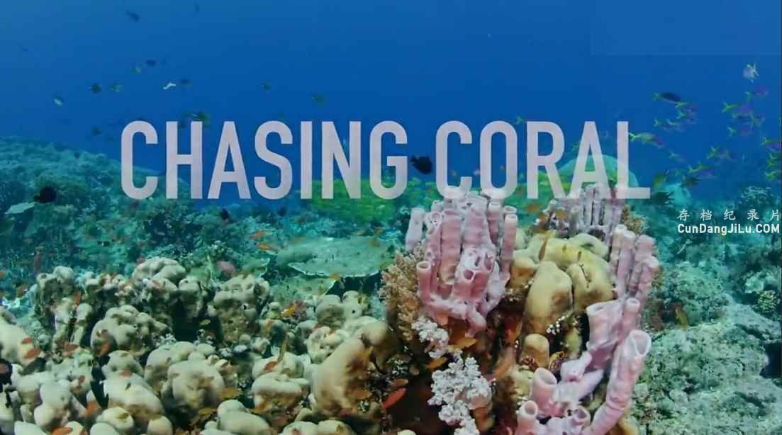 ¼Ƭ׷ɺ Chasing Coral 2017ȫ1 Ļ 720P 