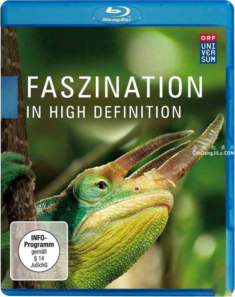 ¼ƬȻ Faszination in High Definitionȫ6 ַ720P 