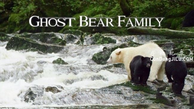 BBCܼ¼Ƭһ Spirit Bear FamilyĻ 720P 