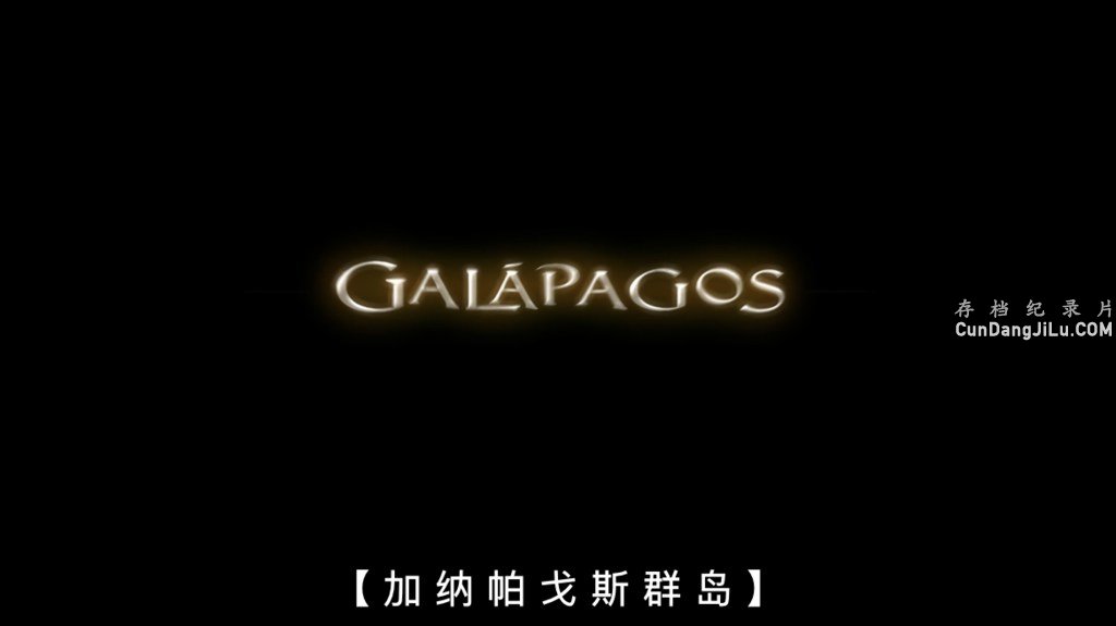 BBC¼Ƭ˹Ⱥ Galapagos 2007ȫ3 Ļ 1080P 