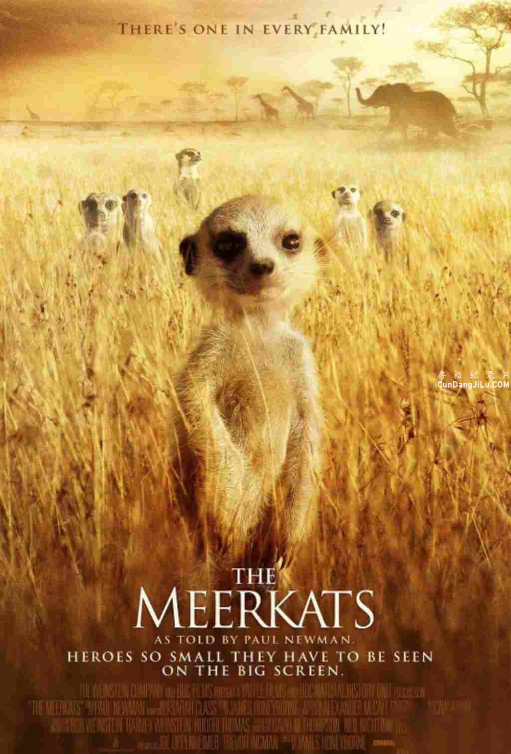 BBC¼Ƭɸ The Meerkats 2008ȫ1 Ļ 720P/1080P Ӱ¼Ƭ