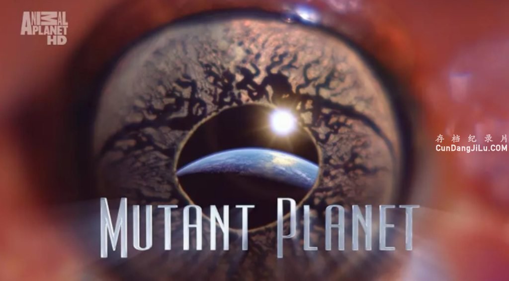 ̽Ƶ¼Ƭ Mutant Planetȫ6 Ļ 1080P/TS 