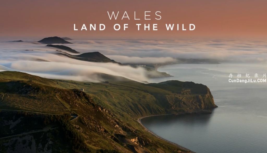 BBC¼ƬʿҰ/Ұ˹ Wales: Land of the Wild 2019ȫ4ԭ 1080P 