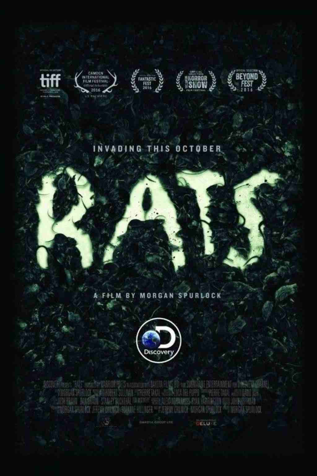 ̽ƵŦԼ Rats 2016ȫ Ӣ 1080P¼Ƭ ѧ̽