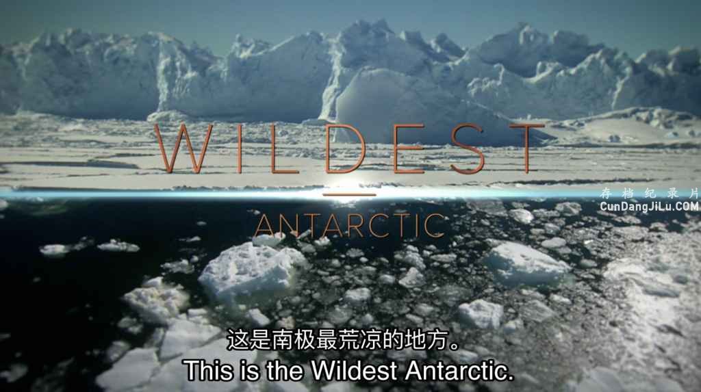 ¼ƬҰĵط Wildest Places 20191-2ȫ8 ӢӢ˫ ٷ 1080P Ұ 