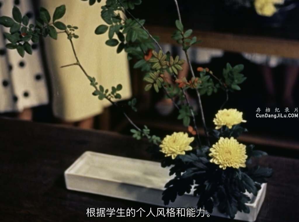 ձ¼Ƭ/廨 Ikebana 1957 720P¼Ƭ ʷ